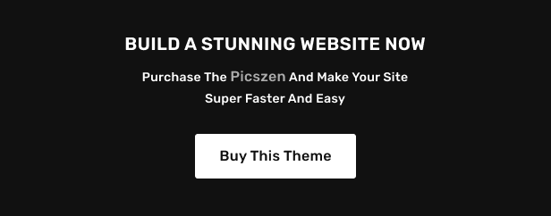 Picszen - Photography WordPress Theme - 7